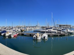 215-11-01-2026 IMG_6530